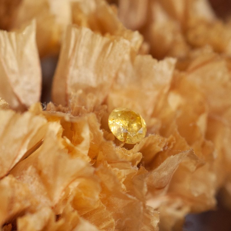 Diamante champagne